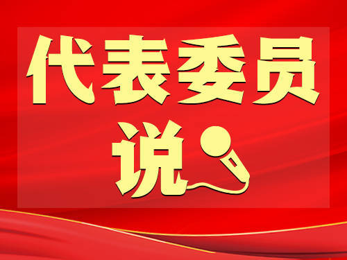 边境检察管苹果版
:兰平勇、陈宇辉：为“推动经济运行整体好转”贡献检察力量