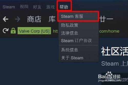 steam手机客户端有广告掌上steam手机客户端下载-第2张图片-太平洋在线下载