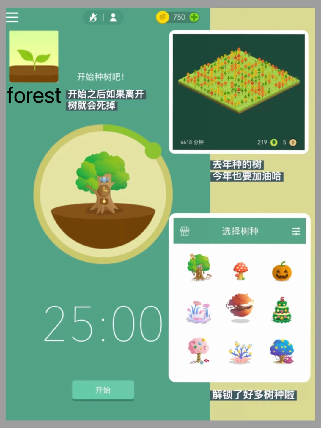 forestapp安卓版pinterestapp下载安卓-第1张图片-太平洋在线下载