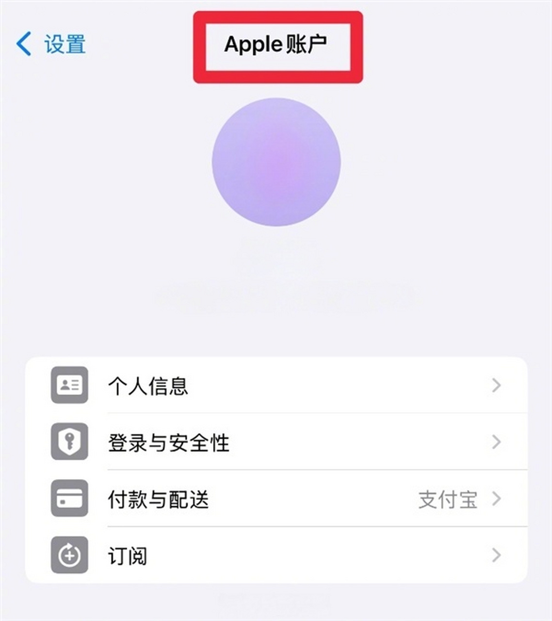 苹果apple中文版苹果首发aiiphone中文版-第2张图片-太平洋在线下载