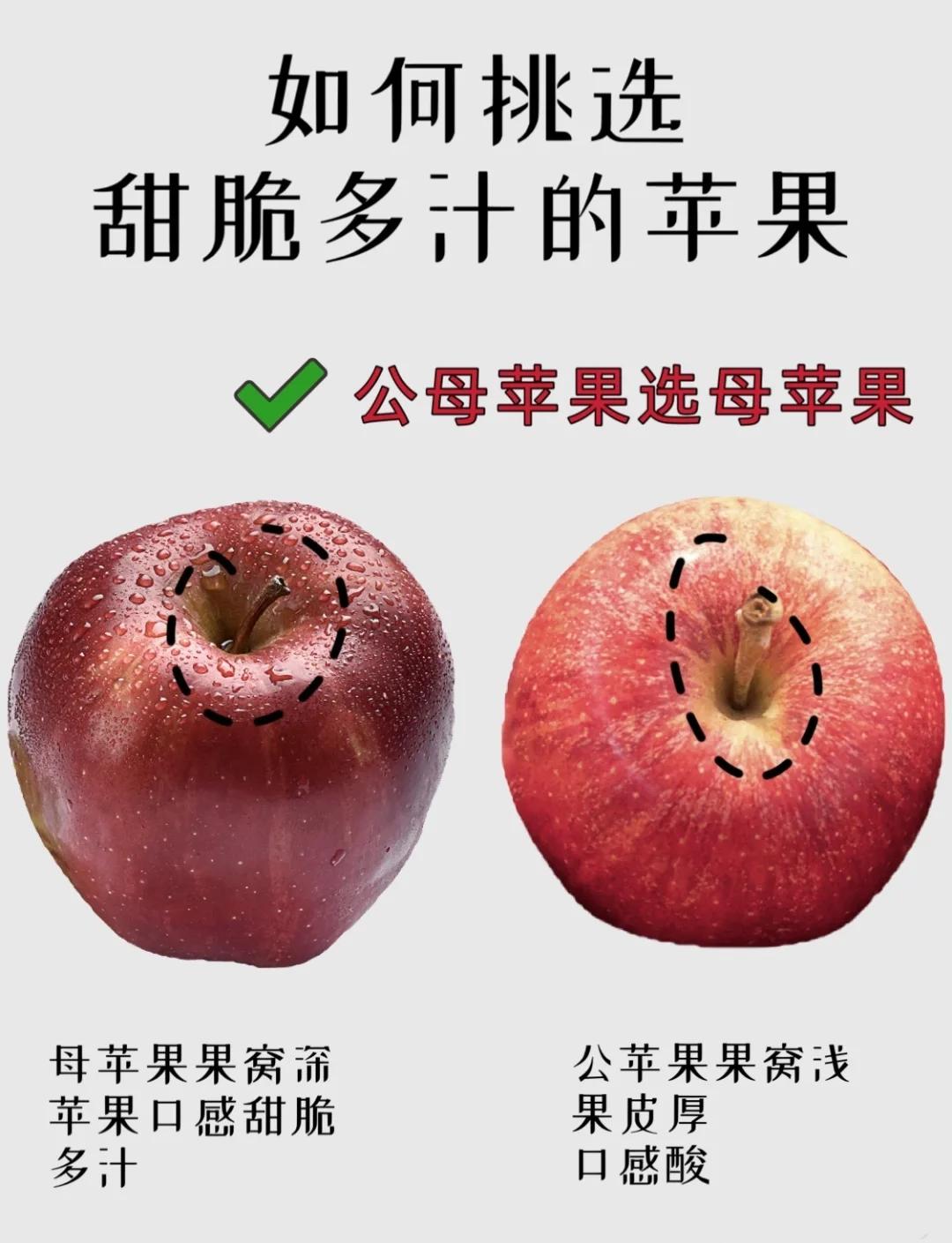 苹果区分外版和内版的区别(苹果外版机和国行有什么不同)-第2张图片-有道翻译官网