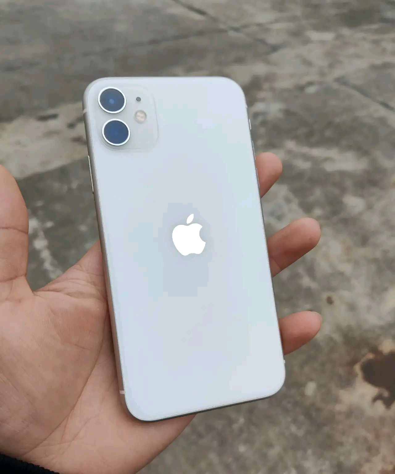 苹果11韩版信号(苹果11韩版信号不好)-第13张图片-有道翻译官网