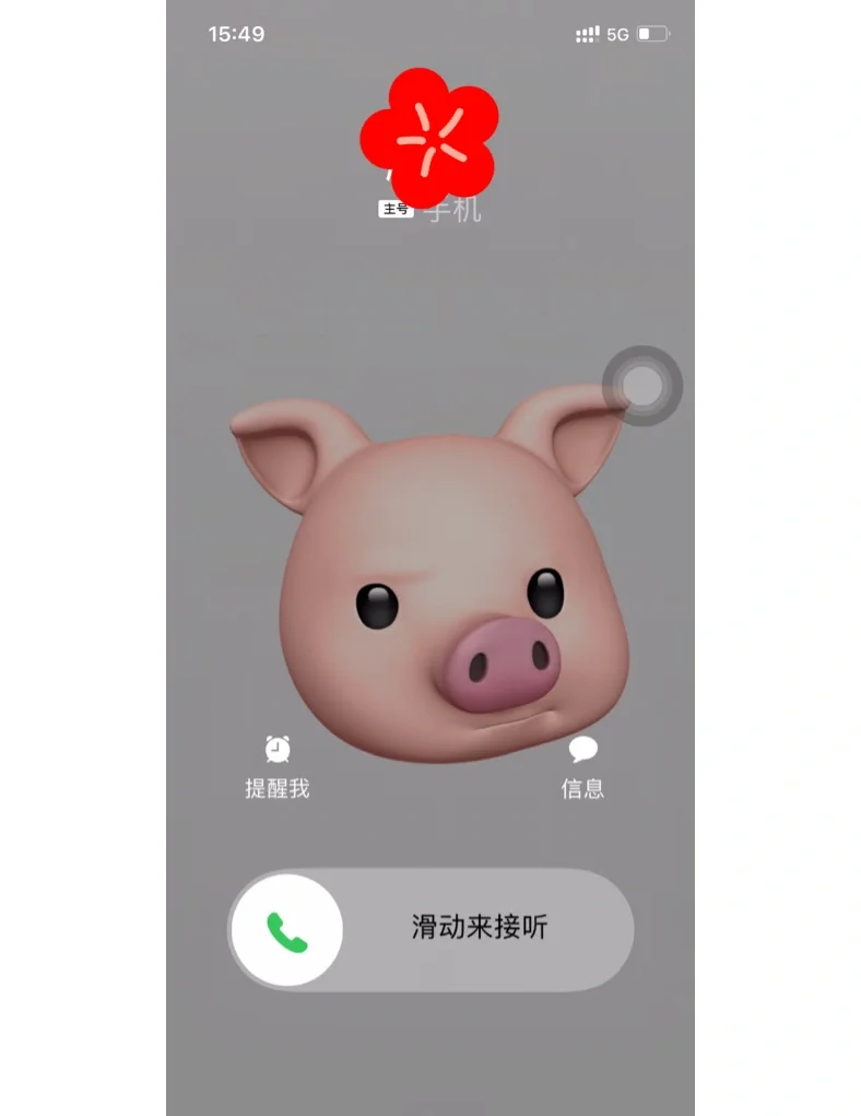 来电识别设置苹果版(苹果手机开启来电识别)-第10张图片-有道翻译官网